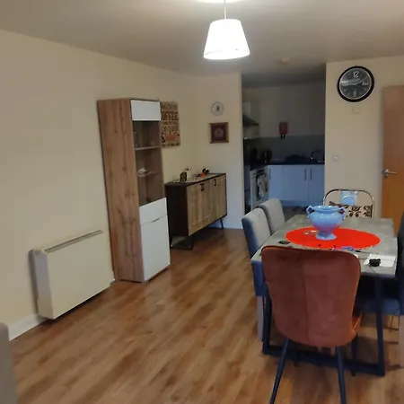 Swallows Nest - Spacious Bright Double Bedroom With Ensuite Bathroom 홈스테이 더블린