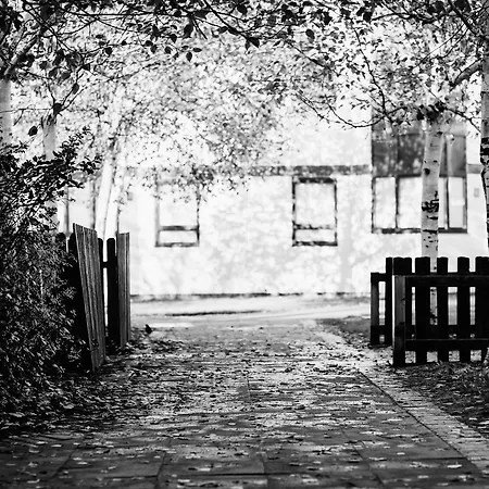 Apartment Dcu Larkfield *