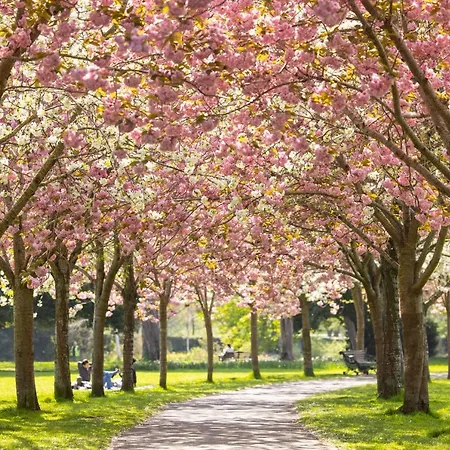 Herbert Park And Park