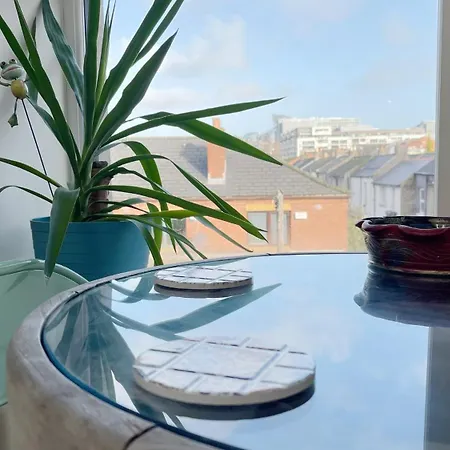Appartement Stylish High Ceiling In South Center Dublin