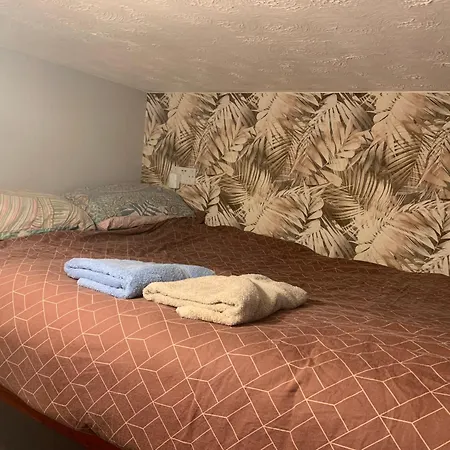 Maison d'hôtes Wake Up With 2 Cats On Your Face