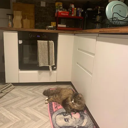 Wake Up With 2 Cats On Your Face Maison d'hôtes *