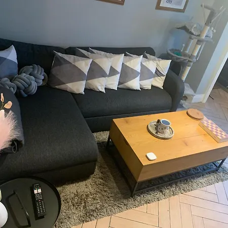 Wake Up With 2 Cats On Your Face Maison d'hôtes