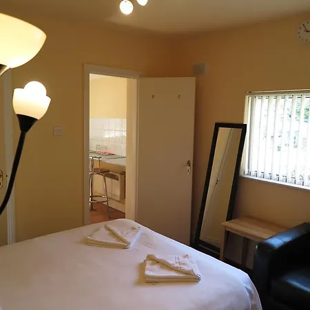 The Viking's House Apartment Dublin