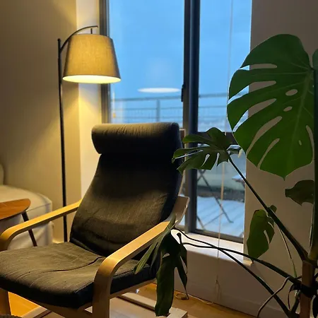 Apartamento Entire In Exclusive Neighborhood - Comfortably Sleeps Up To 6 Guest Dublin
