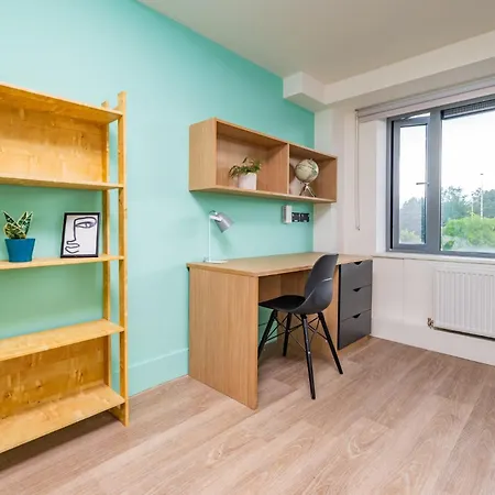 Refurbished Ensuite With Shared Kitchen At Montrose In Apartment Dublin