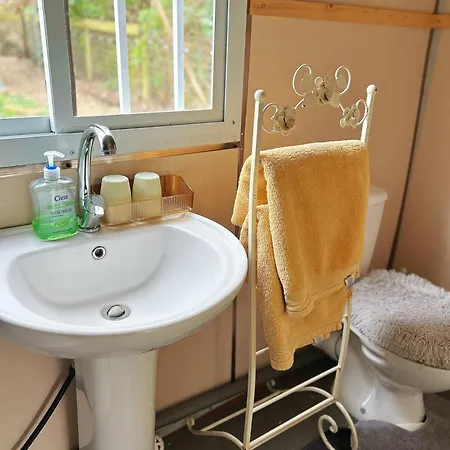 Chalet The In The Woods Dublin