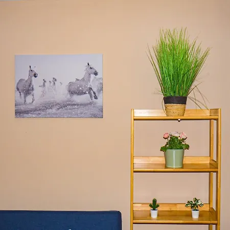 Apartment Cosy Flat Off Centre Dublin