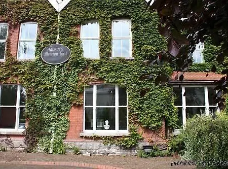 Hotel Merrion Hall 4*