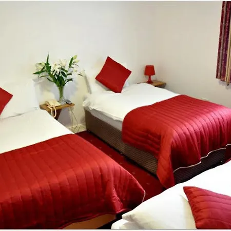 Hotel Maple 2*