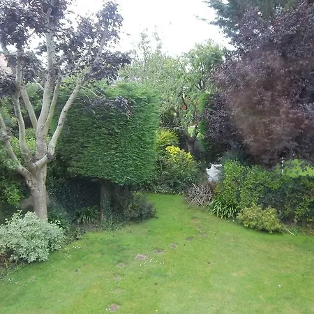 Donnybrook 3*