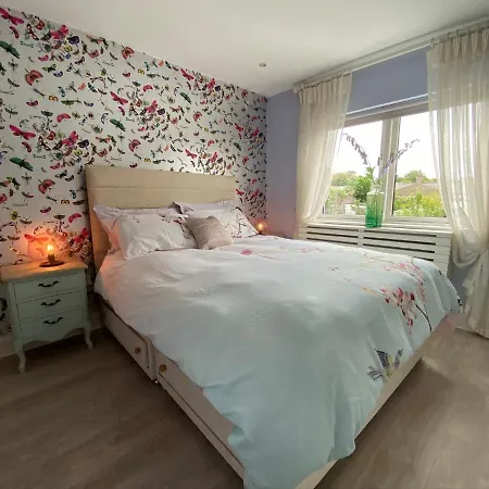 Stunning In The Heart Of Dalkey *