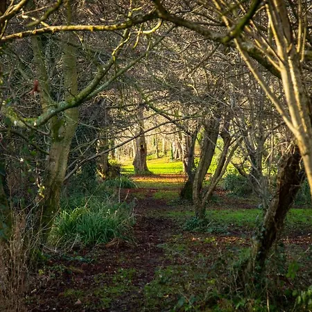Hazelwood Short Stay Accommodation Apartament Dublin