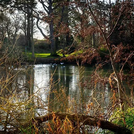 Hazelwood Short Stay Accommodation