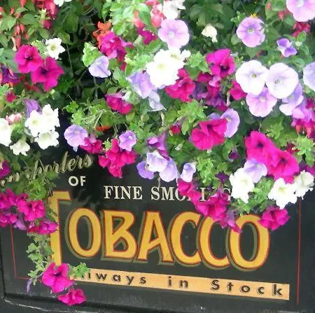 O'neills Victorian Pub & Townhouse 3* Dublin