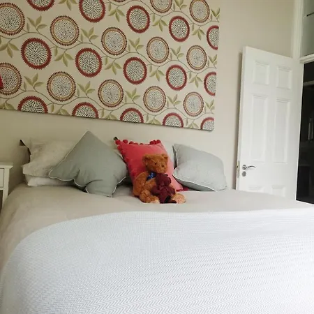 Luxurious Newly Renovated