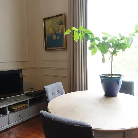 Luxurious Newly Renovated * Dublin