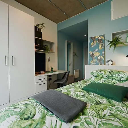 Modern 3 Bedroom And Private Bedrooms At The Loom In Dublin