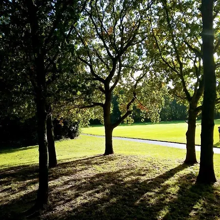 Double Homestay Dublin