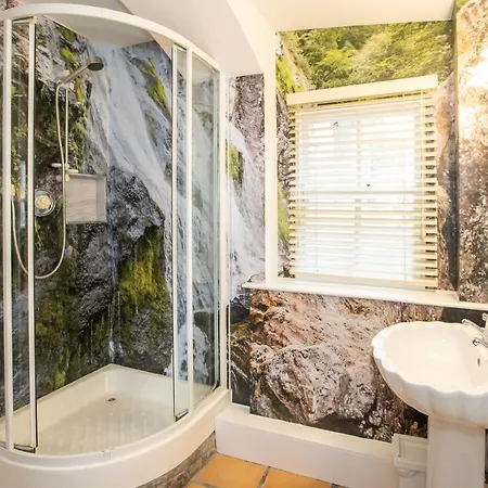 Apartament Ballsbridge *