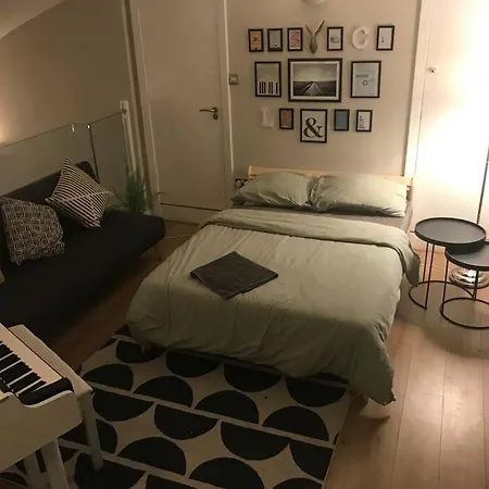 Apartment The Friary Temple Bar Penthouse Loft W/roof Garden Dublin