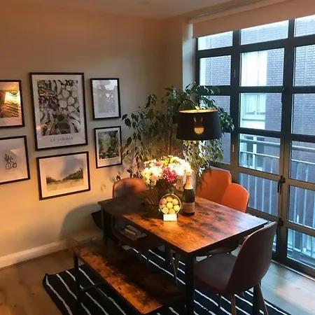 Apartment The Friary Temple Bar Penthouse Loft W/roof Garden