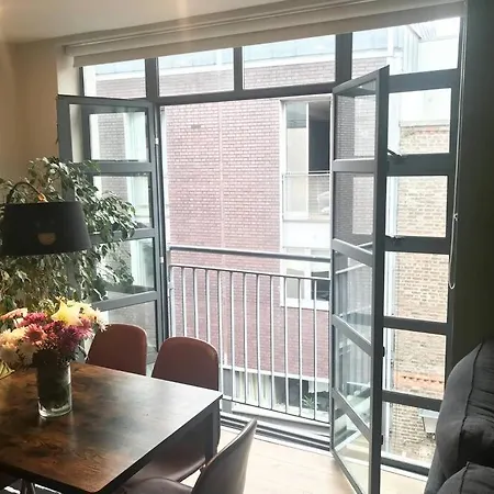 The Friary Temple Bar Penthouse Loft W/roof Garden Apartment