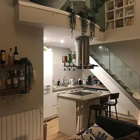 The Friary Temple Bar Penthouse Loft W/roof Garden Apartment Dublin