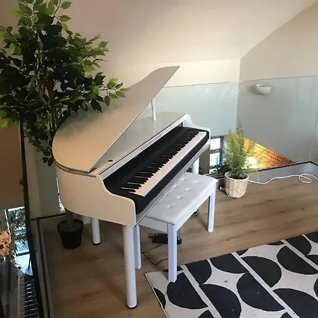 The Friary Temple Bar Penthouse Loft W/roof Garden Apartment