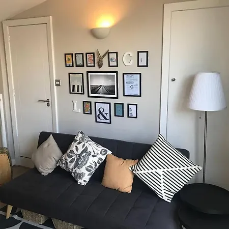 The Friary Temple Bar Penthouse Loft W/roof Garden Apartment