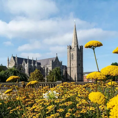 Homestay Cozy In Center Of Dublin