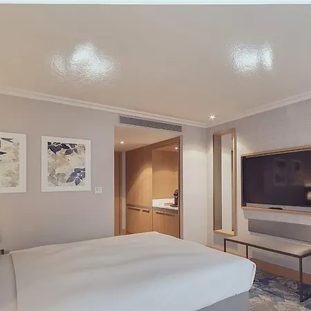 Hotell Hilton Dublin