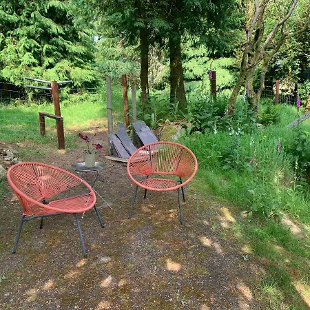Lodge Willow