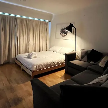 Peaceful Studio Apt W/2 Beds Dublin