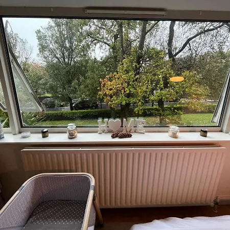 Peaceful Studio Apt W/2 Beds Apartment