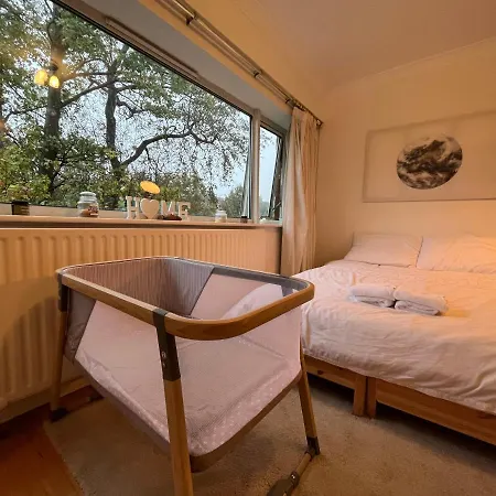 Apartment Peaceful Studio Apt W/2 Beds Dublin