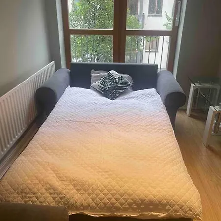 In Dublin's Tourist Spot Temple Bar Fully Renovated Apartment