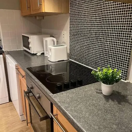 Apartment In Dublin's Tourist Spot Temple Bar Fully Renovated *
