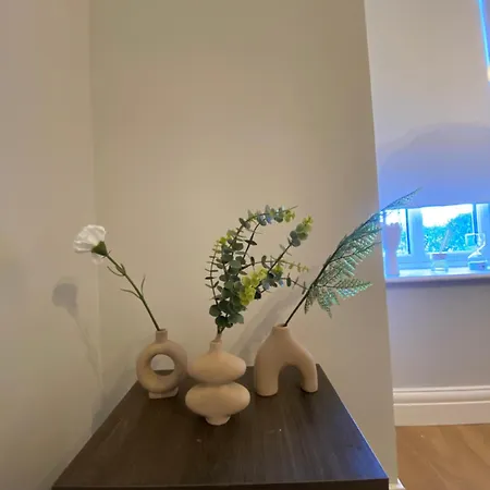 Homestay Extra Large In New House At Citywest Dublin