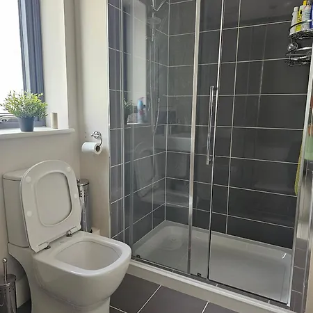 Séjour chez l'habitant Comfortable Short In Dublin