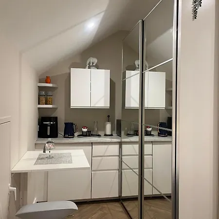 Homestay Attic In Citywest *