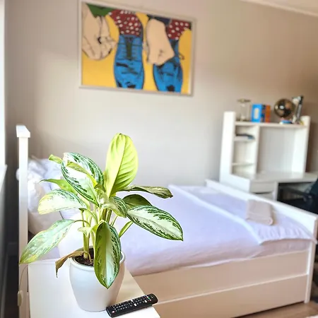 Homestay Ifsc Dublin