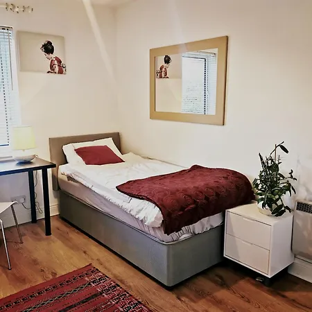 Homestay Single In Charming With The Terrace And The Cat In Sandymount Dublin