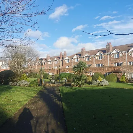 Single In Charming With The Terrace And The Cat In Sandymount