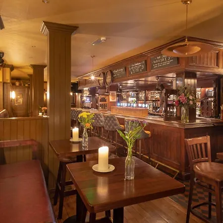 Mcgettigan's Townhouse - Olives & Figs Bistro