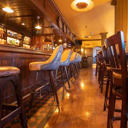 Mcgettigan's Townhouse - Olives & Figs Bistro 3* Dublín