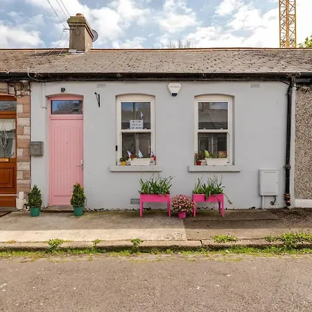 Cozy In Stoneybatter, Homestay Dublin