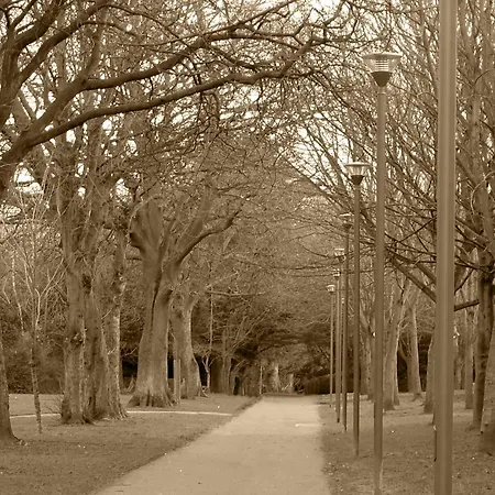 Dcu Glasnevin - Campus