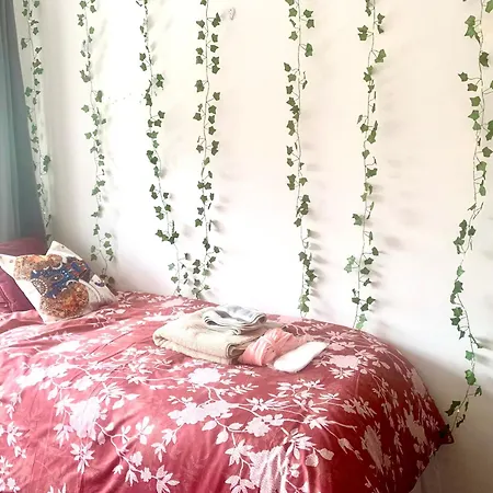 Large In Excellent Location Double Or Two Singles Homestay *