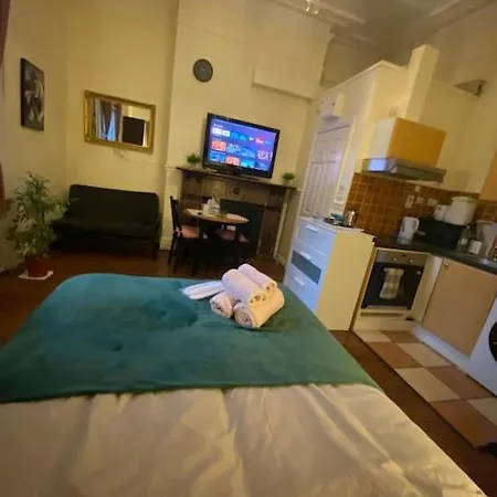 Apartment Spacious Victorian Flat Dublin